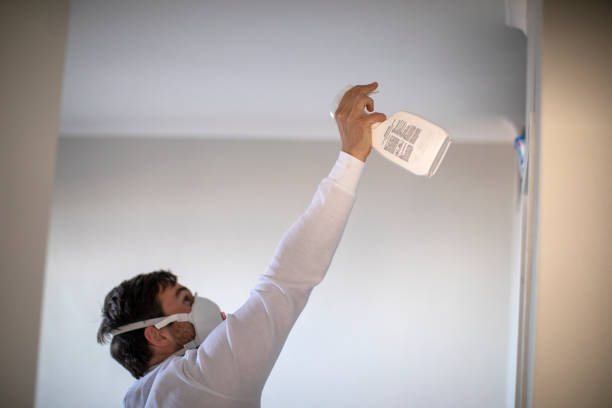Best Professional Mold Removal  in Seco Mines, TX